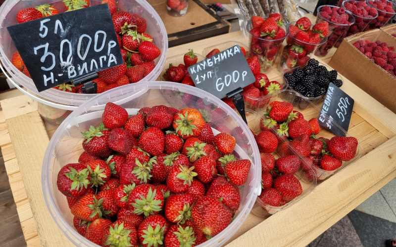    Ирина Яковлева