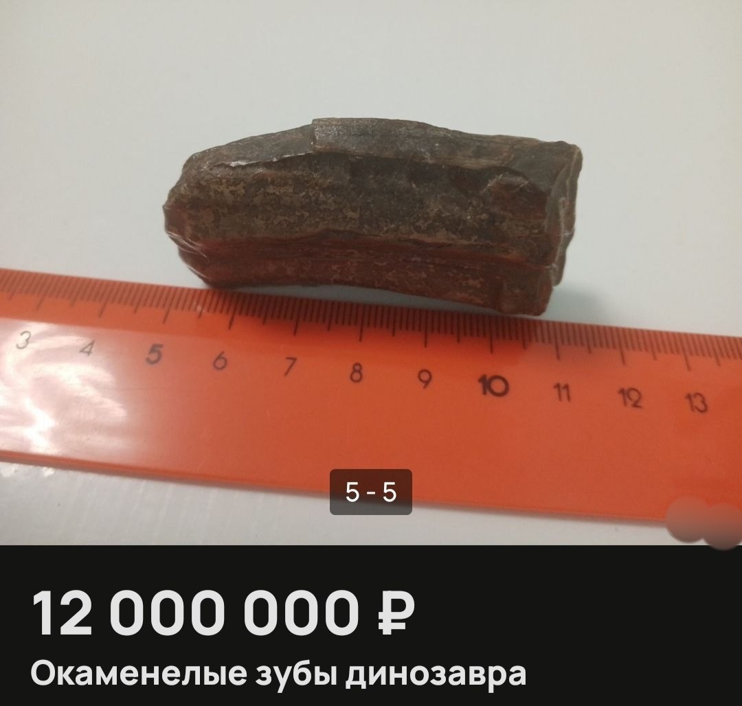    Продавец приложил фото с вытянутыми зубами доисторического хищника
