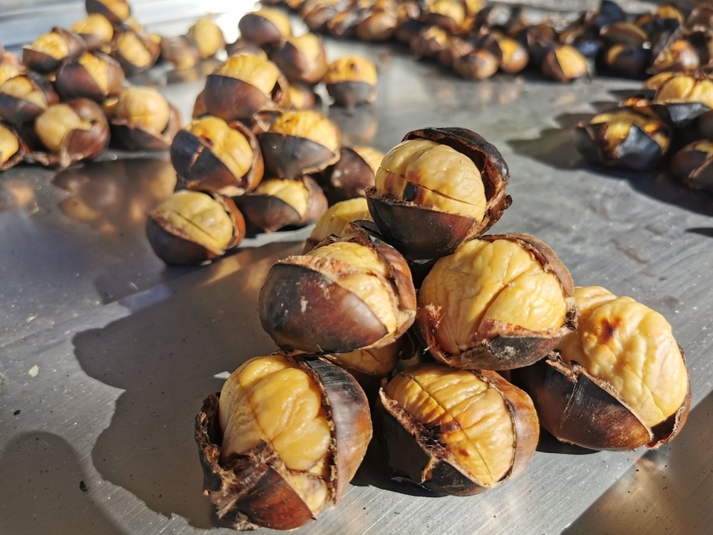    Съешьте это немедленно! Каштан