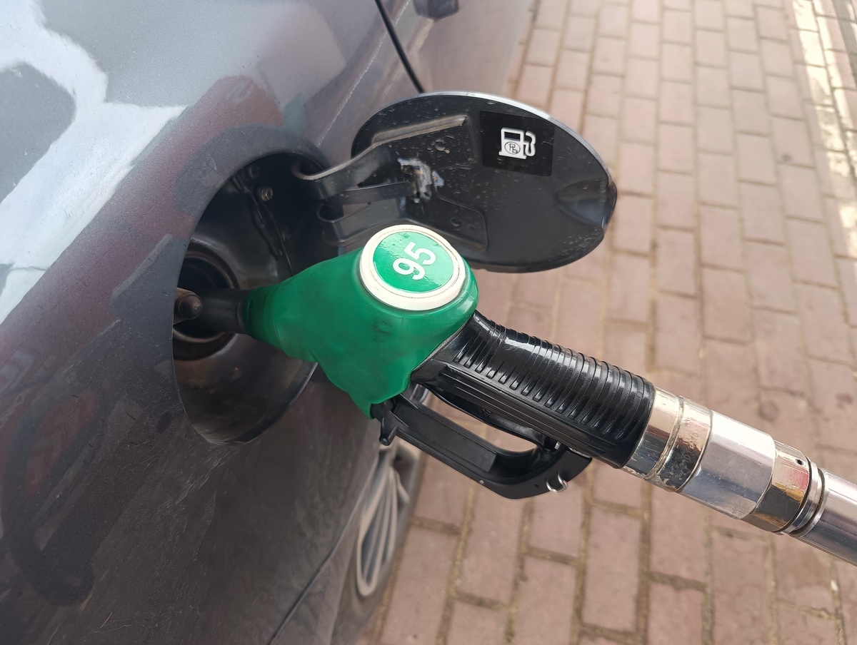    фото: © Столица на Онего