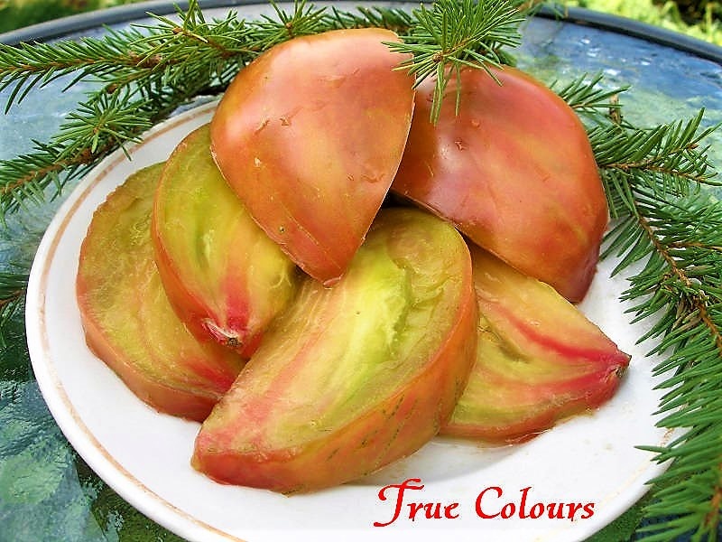 Томат Истинные цвета