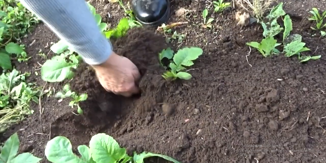 От соломы к гумусу. Почему моя почва поднялась на 20 сантиметров