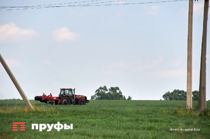    Фото: Пруфы