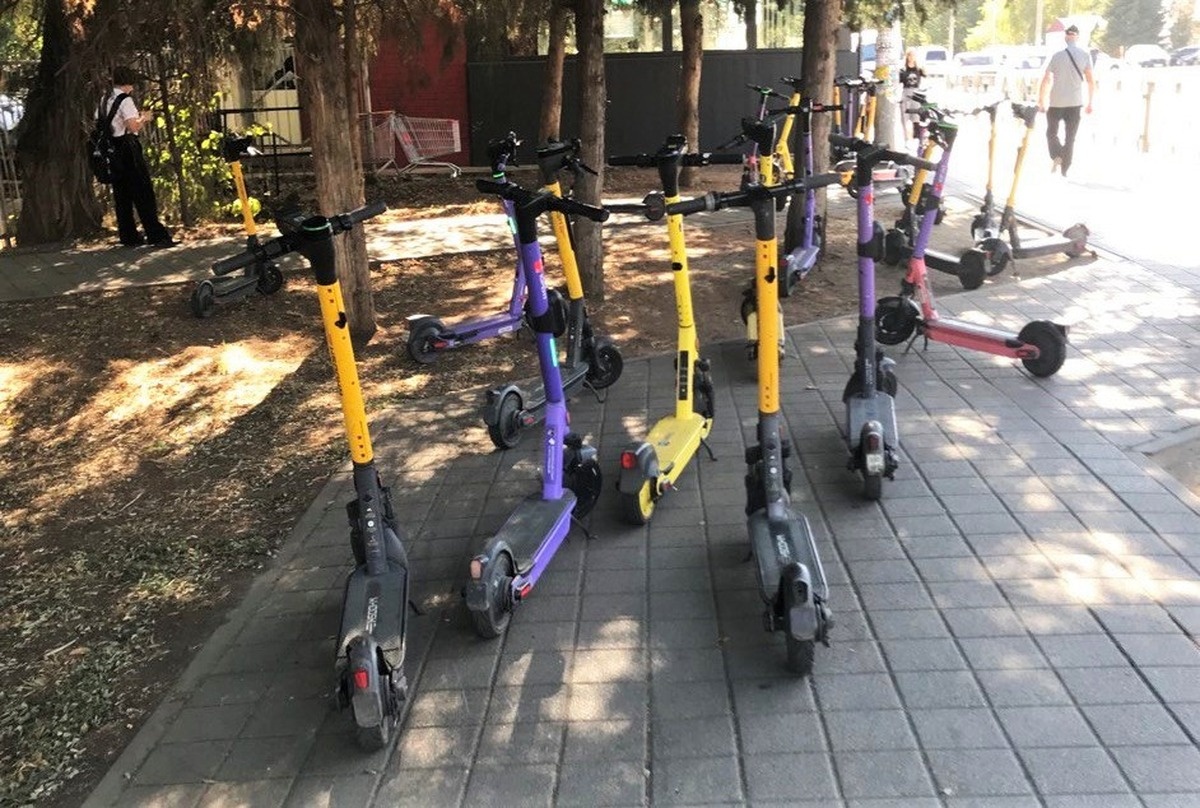    Фото «Кубань 24»