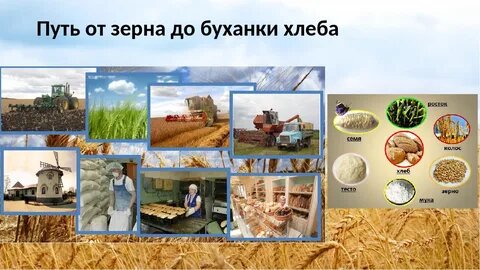 Картинка с простор интернета.