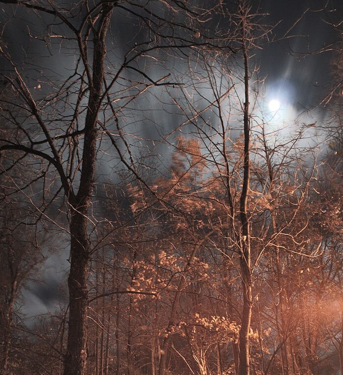 фото из интернета