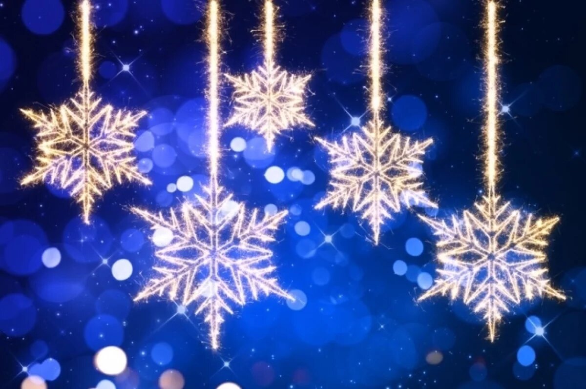    К Новому году в Обиковском лесу создадут атмосферу праздника и волшебства