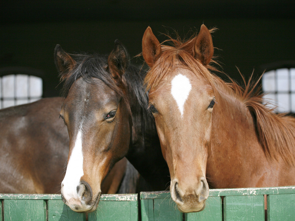    Фото: istockphoto.com/acceptfoto