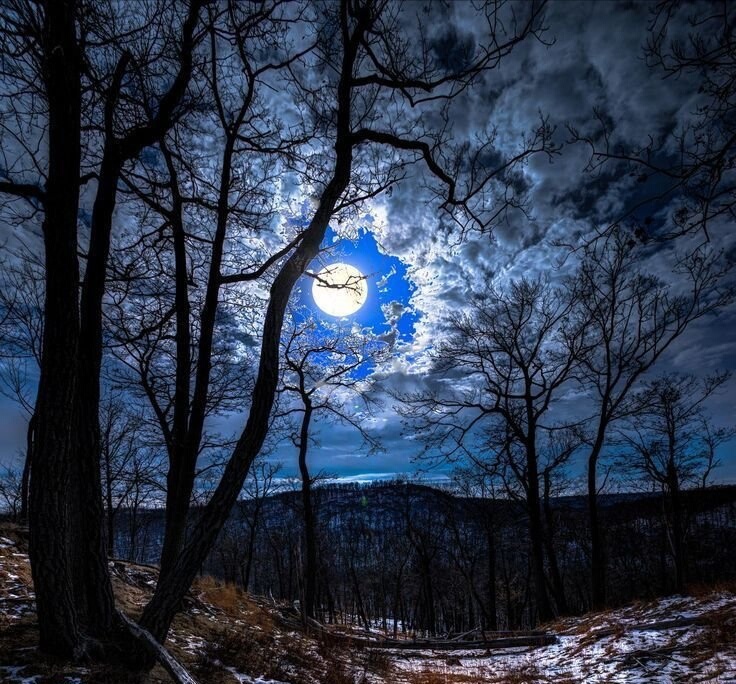 Фото из открытого источника