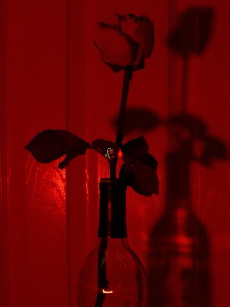 Фото из Интернета 