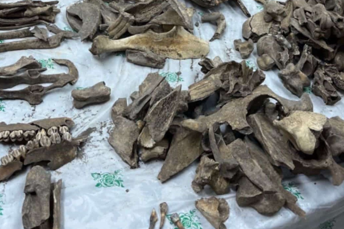    Фото: Л.В. Половников, ПНИПУ