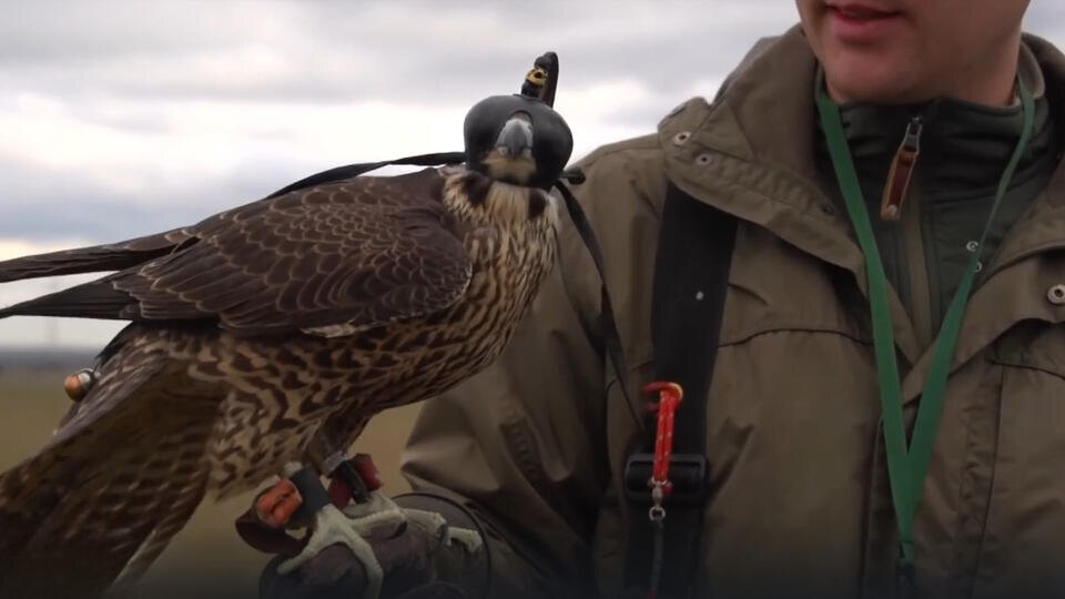 ФОТО: Кадр из программы "Как устроен мир", РЕН ТВ