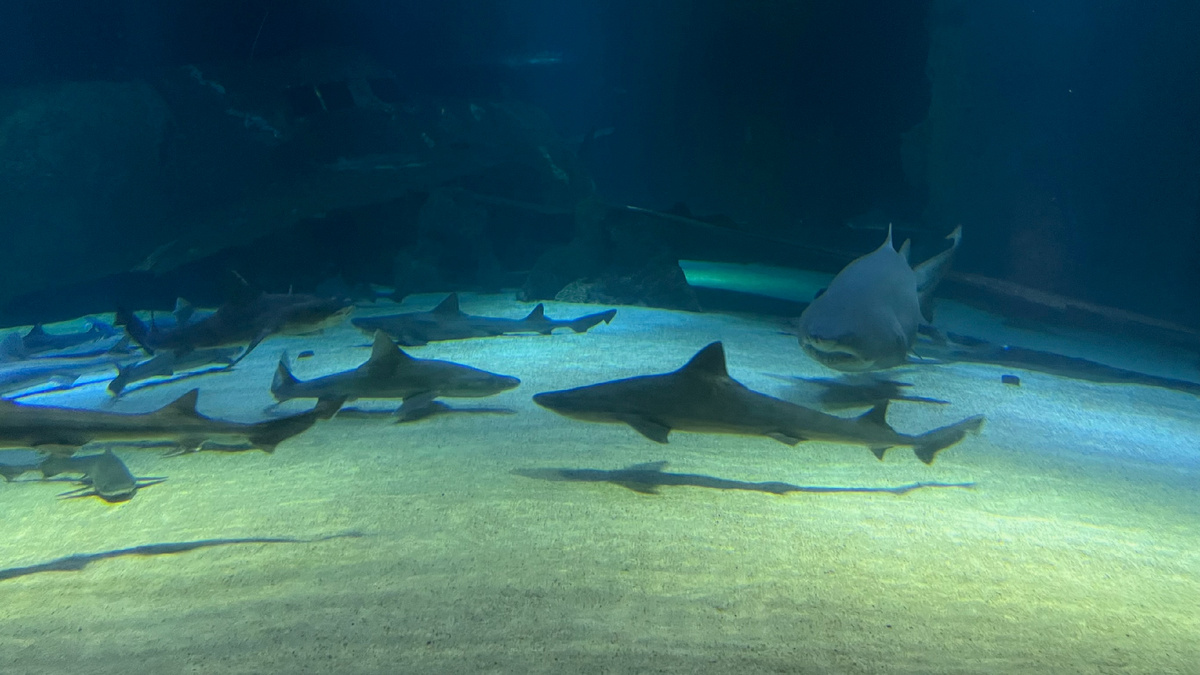 Анталия изнутри | Antalya Inside