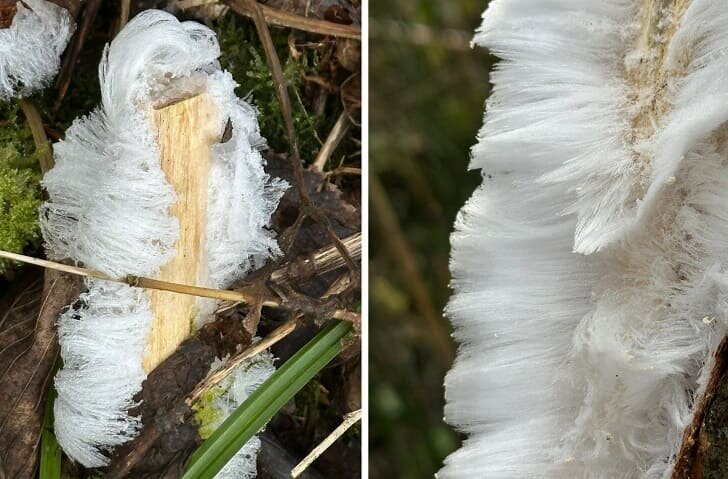    Фото: vk.com/askinsk_excurs