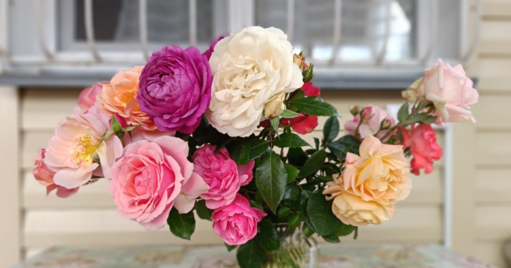 Парад букетов роз 2025. Часть 2