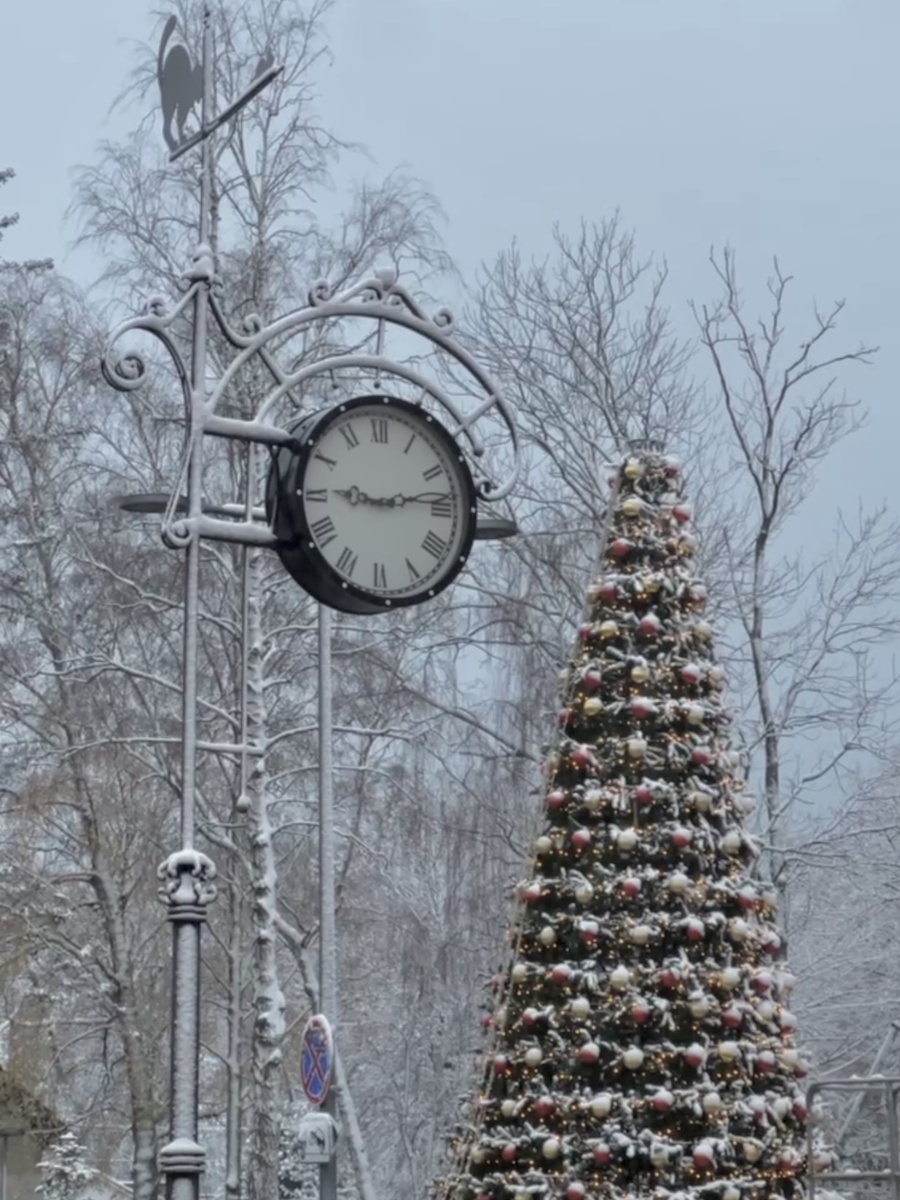 Городская администрация как будто бы знала и уже соорудила Елку.
