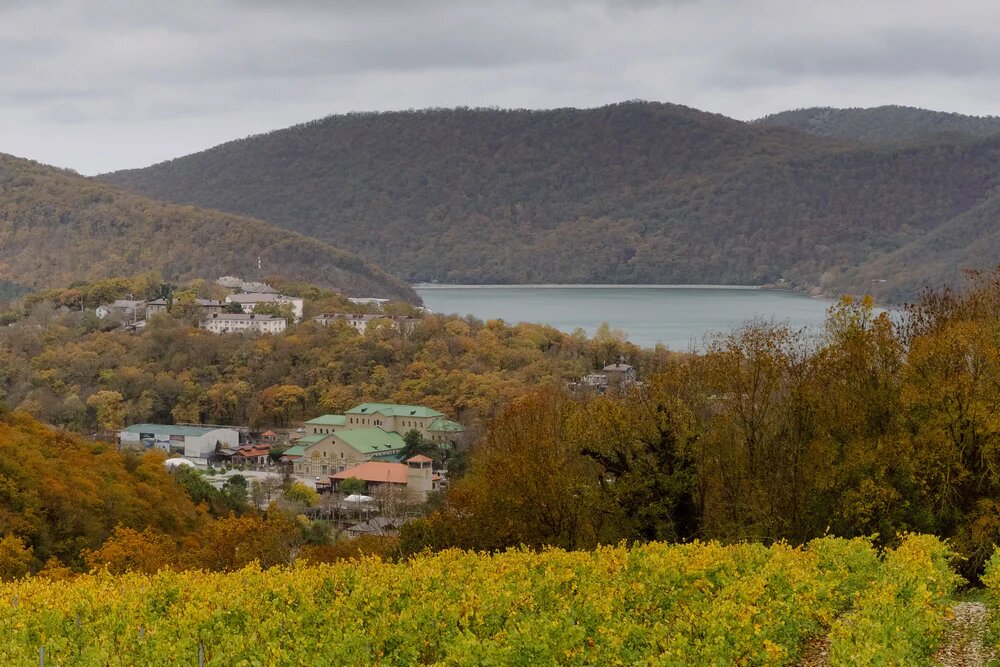 Вид на озеро. Фото: Данила Данилов, АиФ