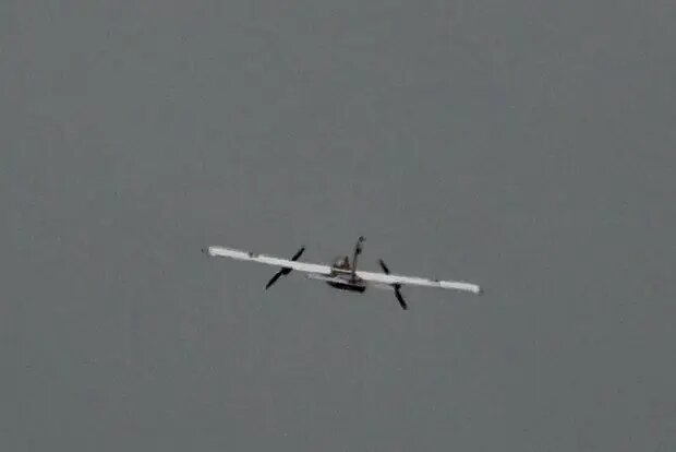    Фото: lenta.ru Оливия Ильинская