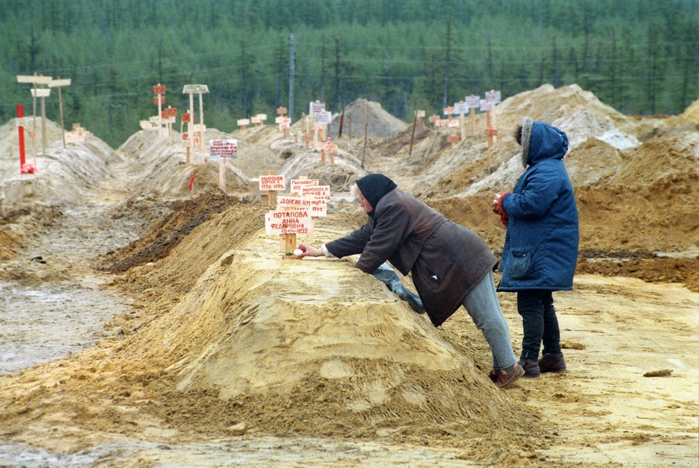 Яндекс картинки