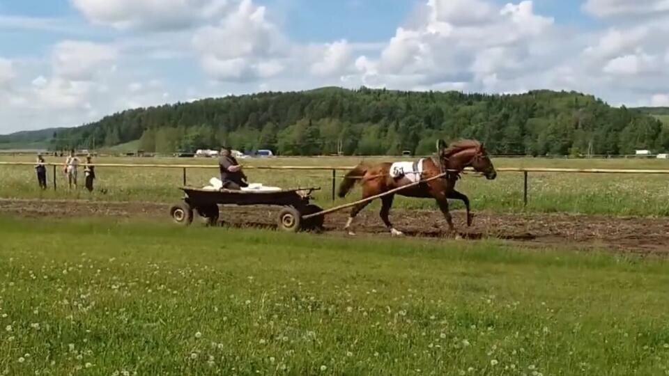 ФОТО: Кадр из программы "Как устроен мир", РЕН ТВ
