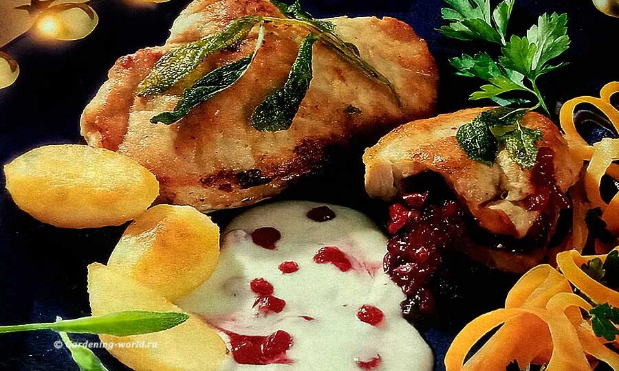 Сочные свиные «конвертики» с карамелизированным луком и брусничным соусом