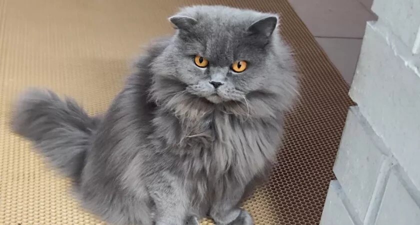    Фото usolie.info