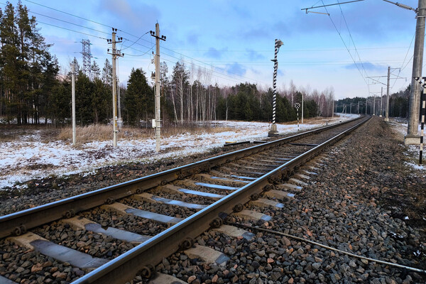 Anastasiya_Rav/Shutterstock/FOTODOM  