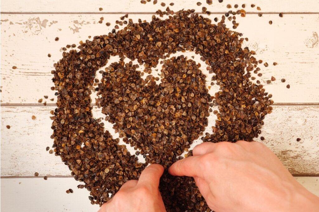 фото: pixabay.com/groovelanddesigns
