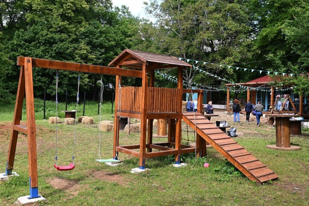 Спортивная зона в саду. Яндекс картинки.