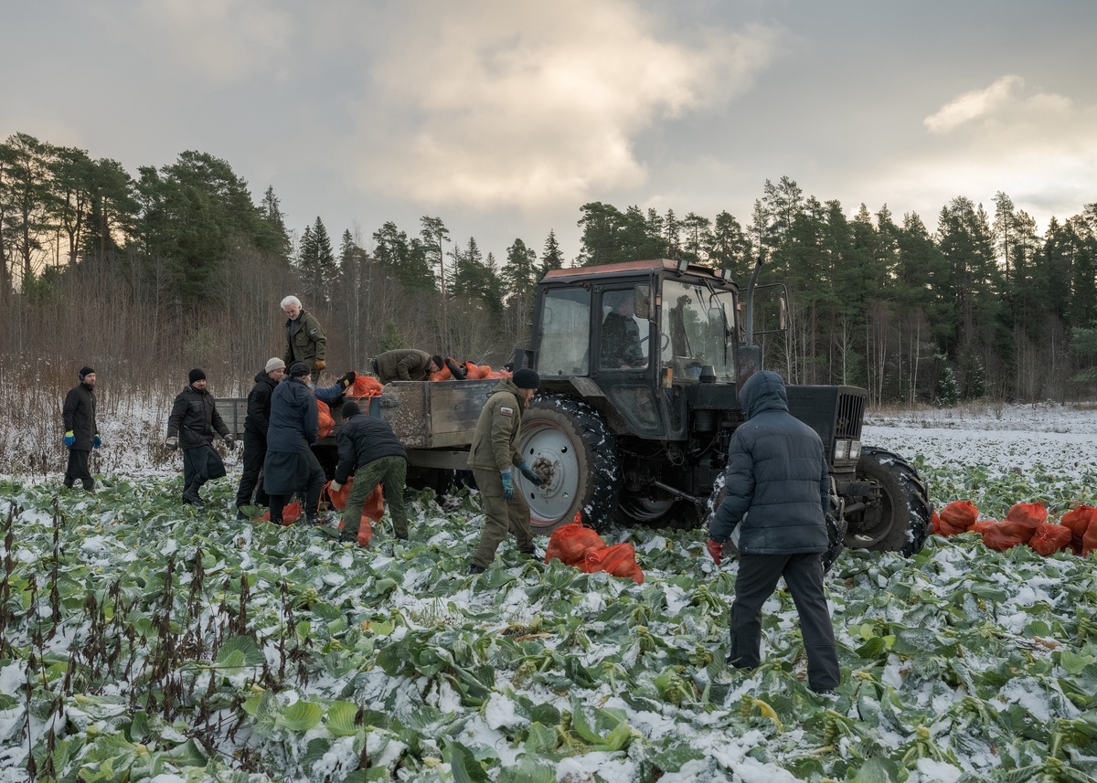    Валаамский монастырь / Дмитрий Гожий