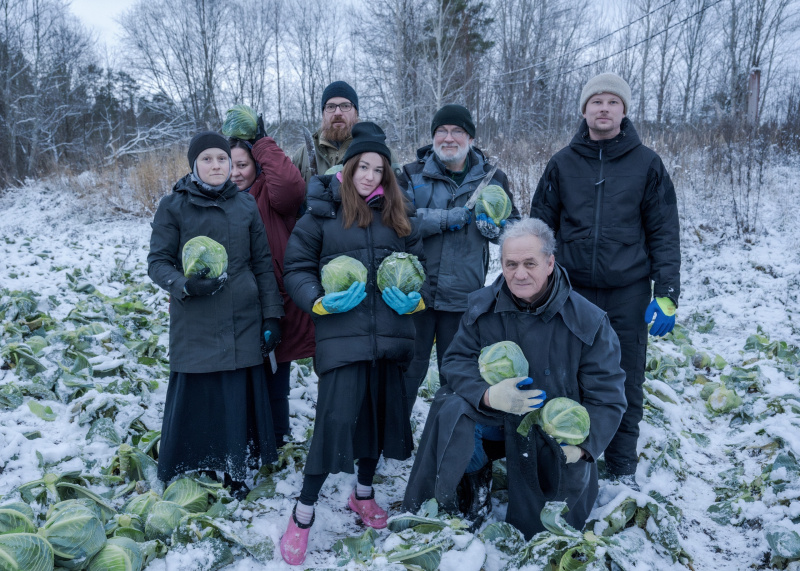    Последний урожай капусты собрали на ВалаамеВалаамский монастырь / Дмитрий Гожий