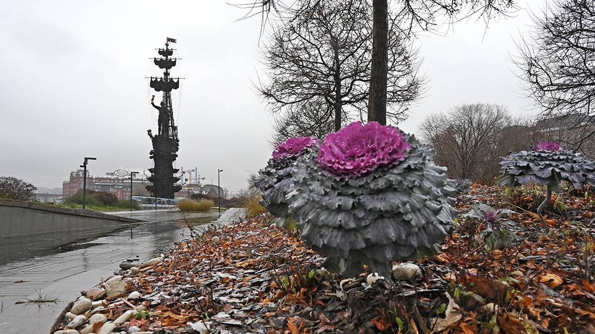    Фото: Анатолий Цымбалюк / Вечерняя Москва