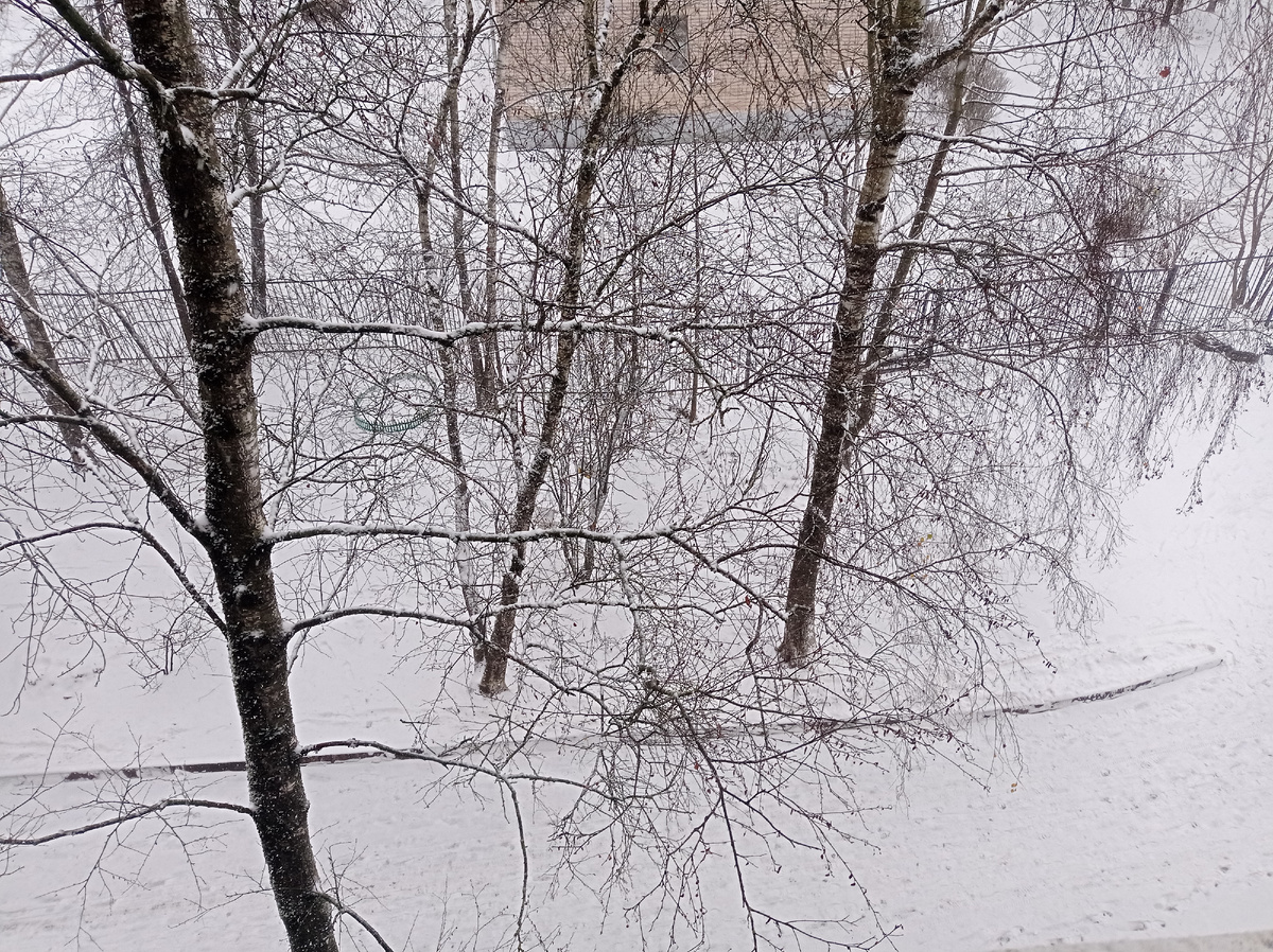 Но сегодня (27 ноября) снега прибавилось и таять он пока не собирается!