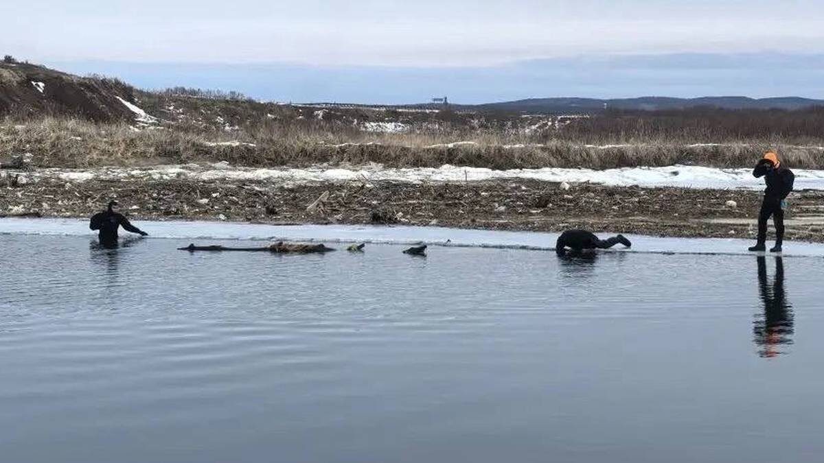    Фото: Telegram / МЧС Сахалинской области