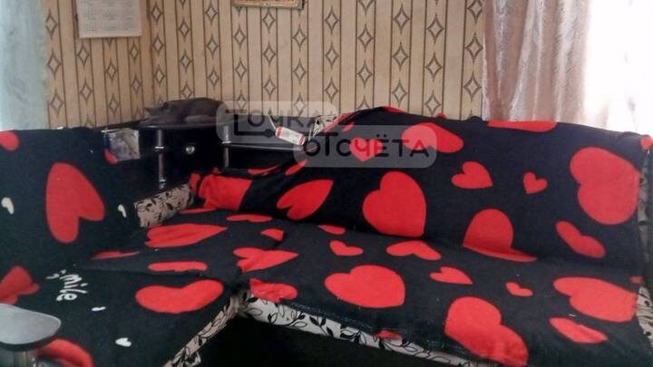  Фото: Telegram / ЧП, ДТП. Сахалин - Точка отсчета