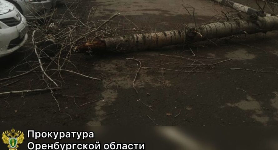    Прокуратура Оренбургской области