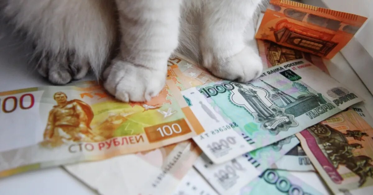 Фото: Наталья Селиверстова/РИА Новости