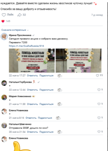 Скрин комментария с социальной сети "Вконтакте" из нашей группы Горловского приюта