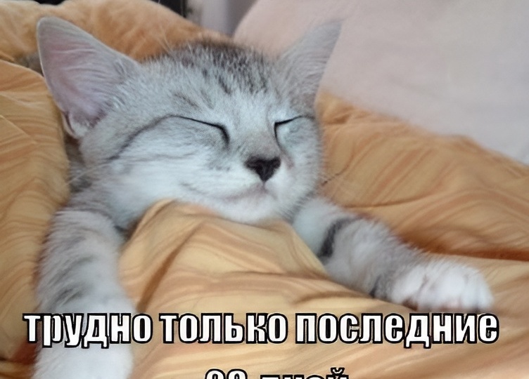 15 смешных картинок с надписями для поднятия настроения. Почему День рождения только раз в году