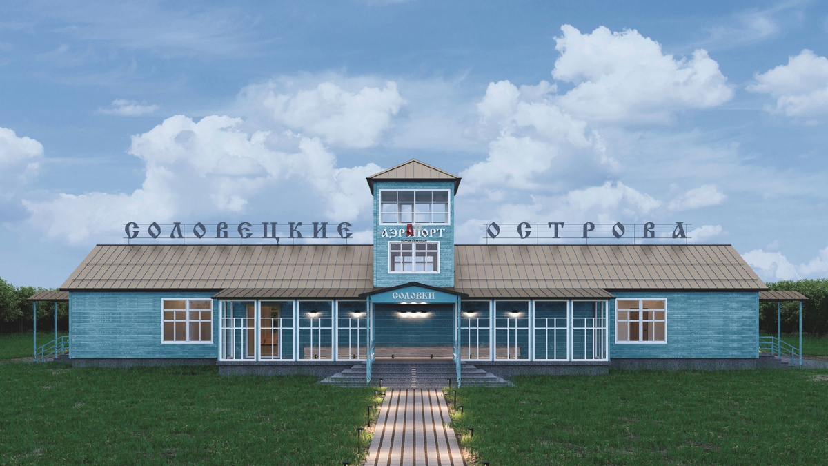 Внешний вид воздушных ворот