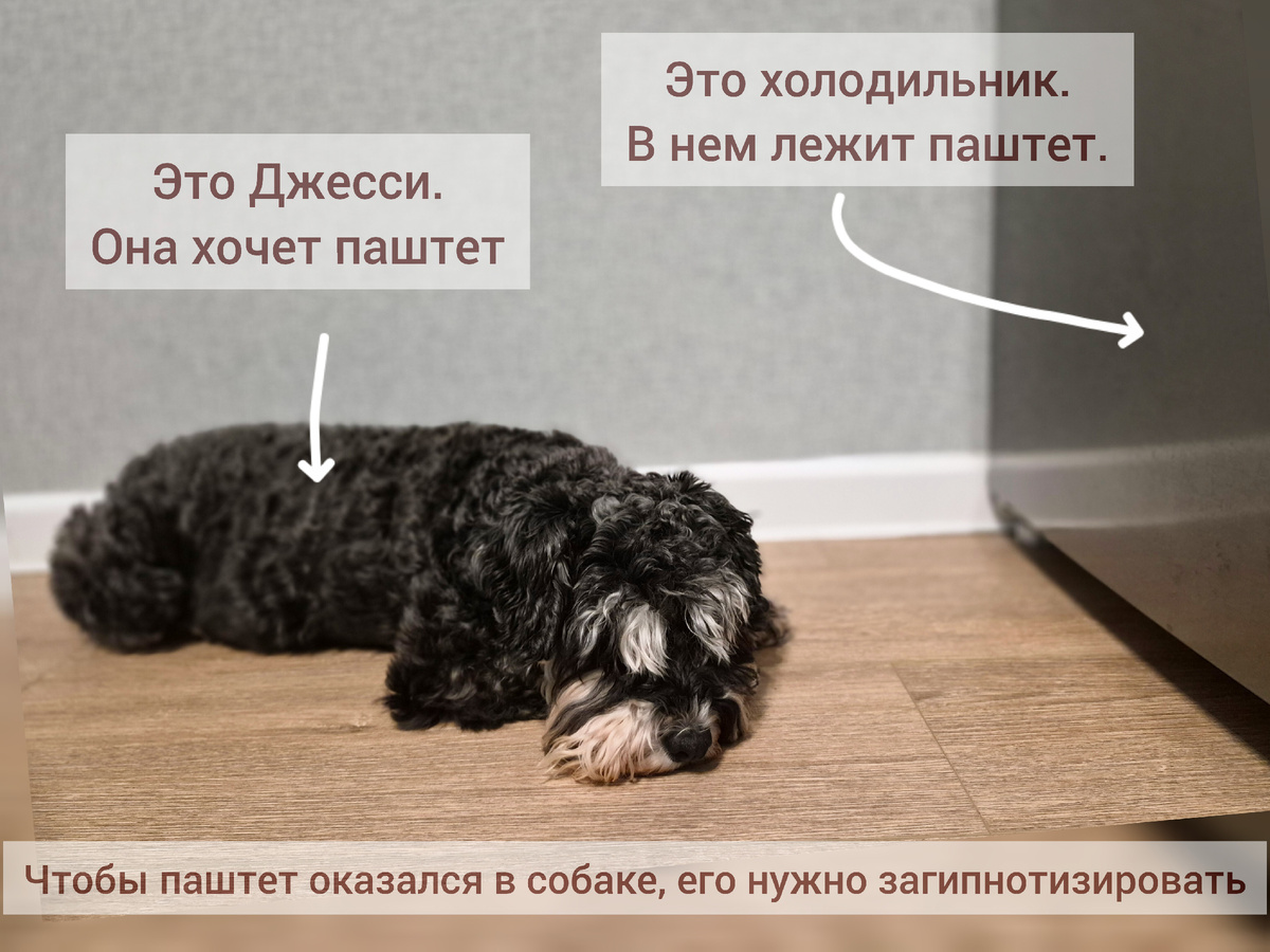 Небольшая пояснительная схема