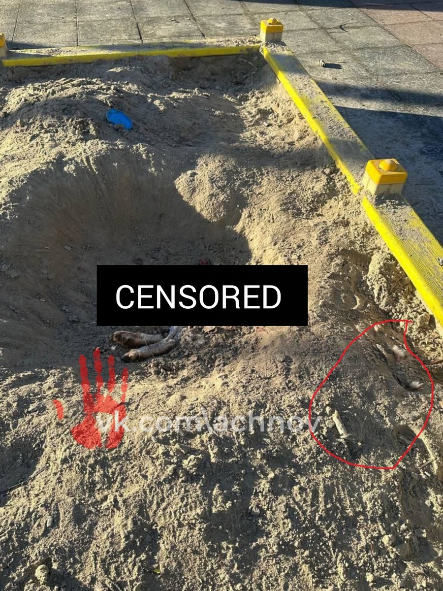 В этой песочнице обнаружили труп.ю как посчитали ранее - обеглавленной собаки. 