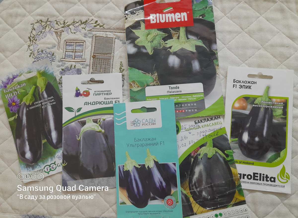 Мой выбор семян баклажанов