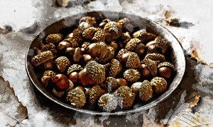 Изображение от freepik  📷
