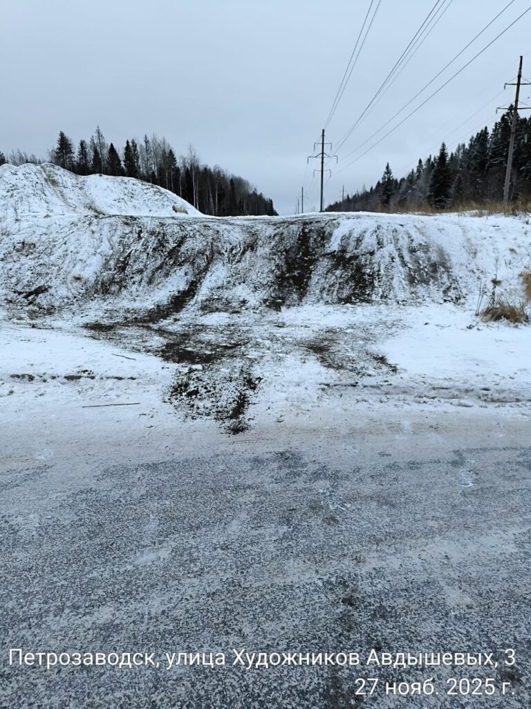    Фото: ГАИ Петрозаводска