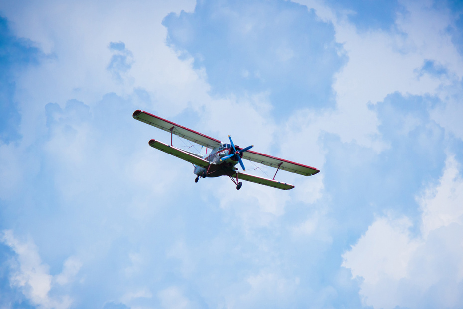    Shutterstock/FOTODOM