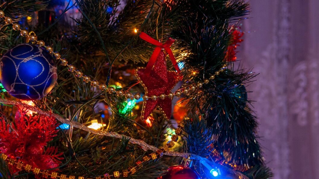    Фото:Svetlana Vozmilova/Global Look Press