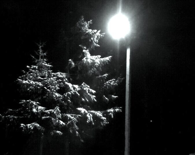    Фото: Петросовет