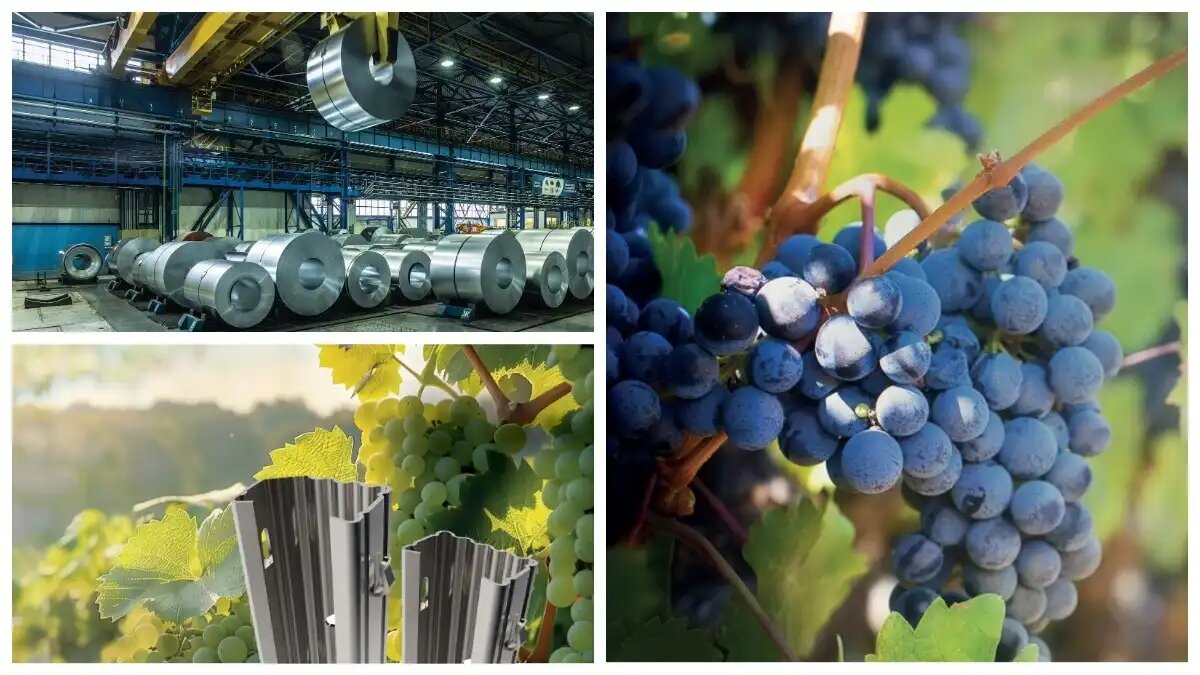 Фото: severstal.com / Северсталь
Северсталь и ПТК Дельта вышли на рынок шпалерных систем (фото иллюстративное)