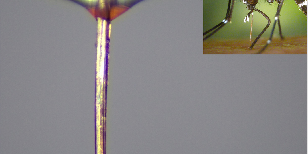 Не по теме. Экзотическое сопло для биопринтера.